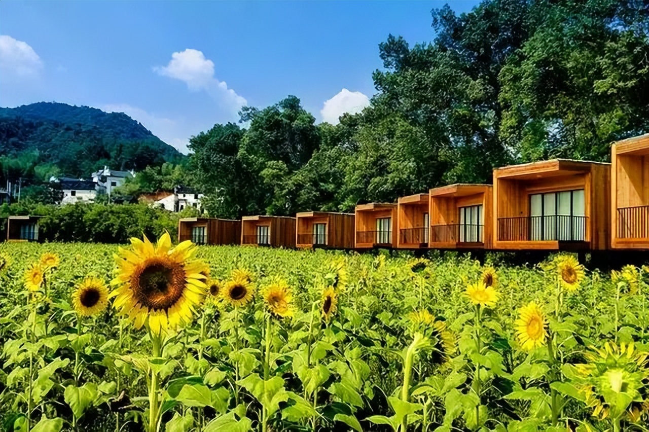 全球顶奢露营酒店,十大野奢帐篷酒店