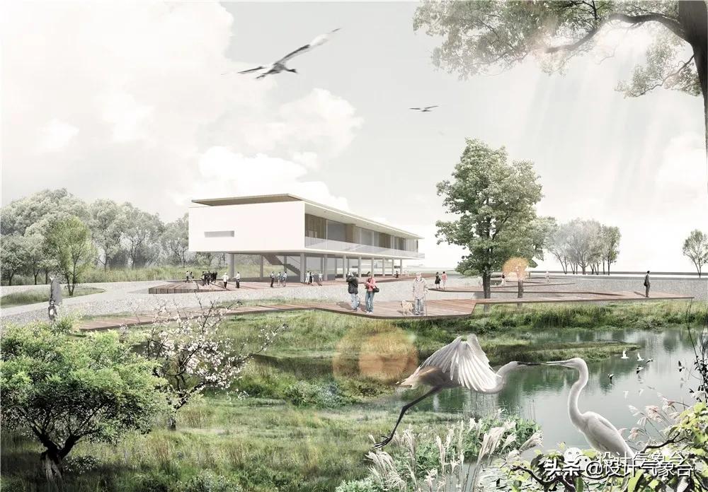 湿地景观效果图,big惜败完整视频