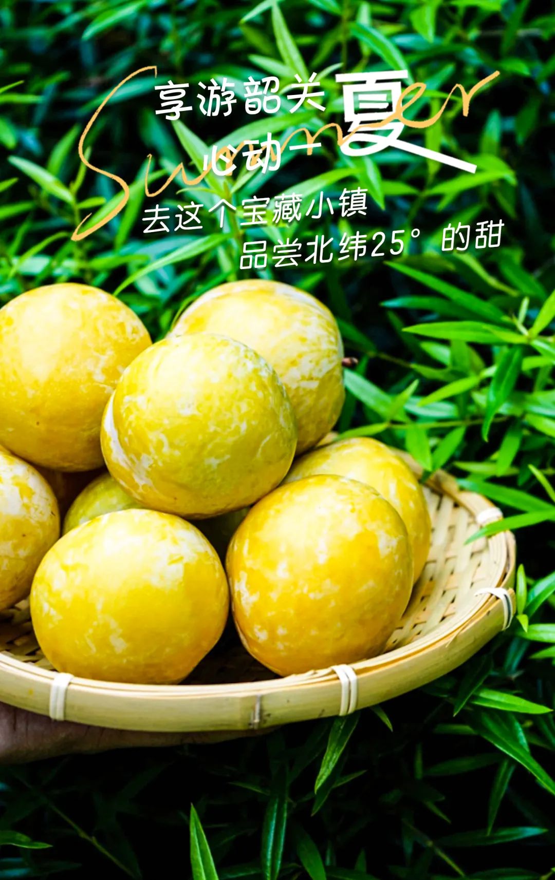 暑假韶关有什么好玩的地方,韶关周边避暑胜地亲子游