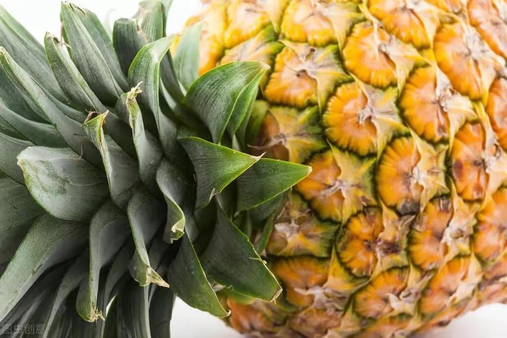 菠萝好吃的挑选方法,菠萝怎么挑选又香又好吃