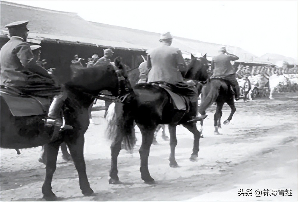 日军第三十七师团长名单,日军第49师团长名单