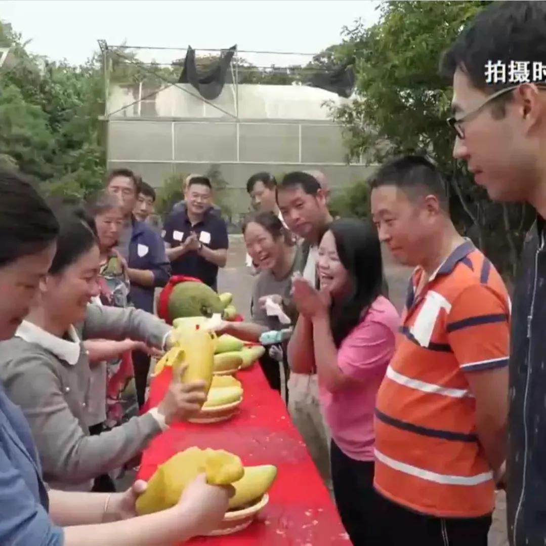 海南女子靠一种不被看好的芒果年入1000多万！人无我有，人有我精