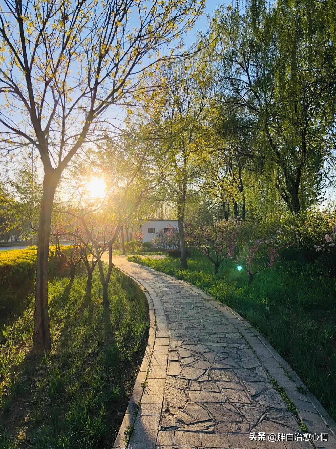 形容美丽风景的唯美句子,形容家的风景美丽的优美段落