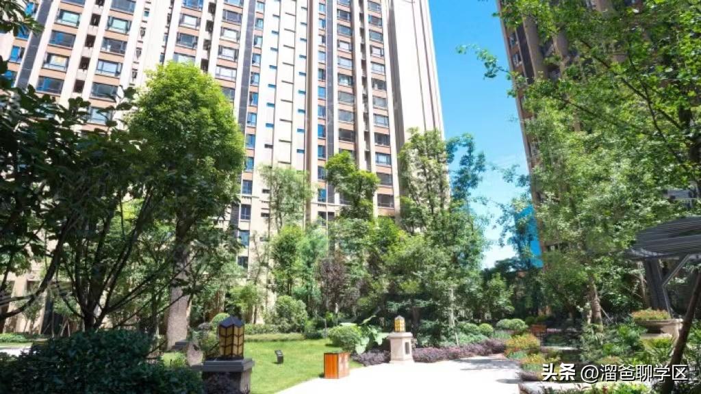 石室教育集团,成都石室中学教育集团学校