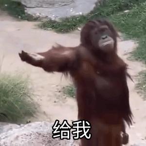 要礼物表情包,表情包给我抱抱