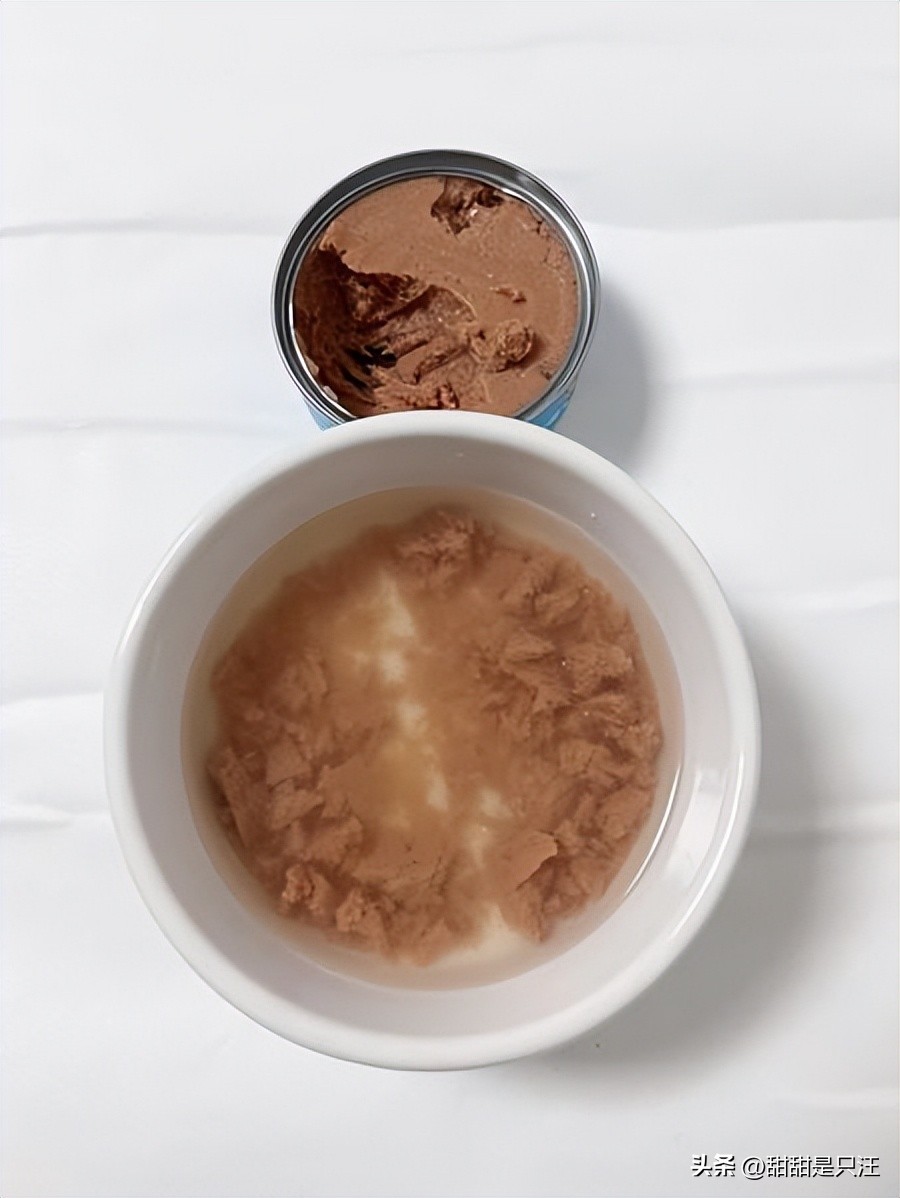 猫咪不喝水？教你10招骗水小技巧