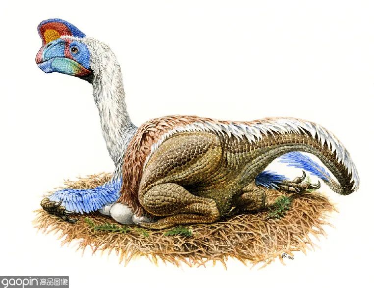 侏罗纪世界进化3恐龙打架,恐龙电影侏罗纪3