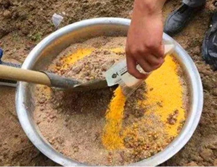 诱钓鲤鱼最快的方法,野钓鲤鱼怎么才能把鲤鱼诱过来