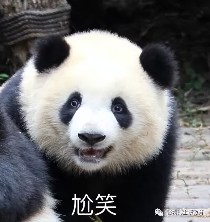 电子商务和物流哪个好一点,物流管理专业学电子商务吗