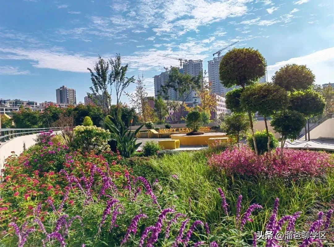 提前一年落户能读桂雅路小学吗,提前一年落户的学校