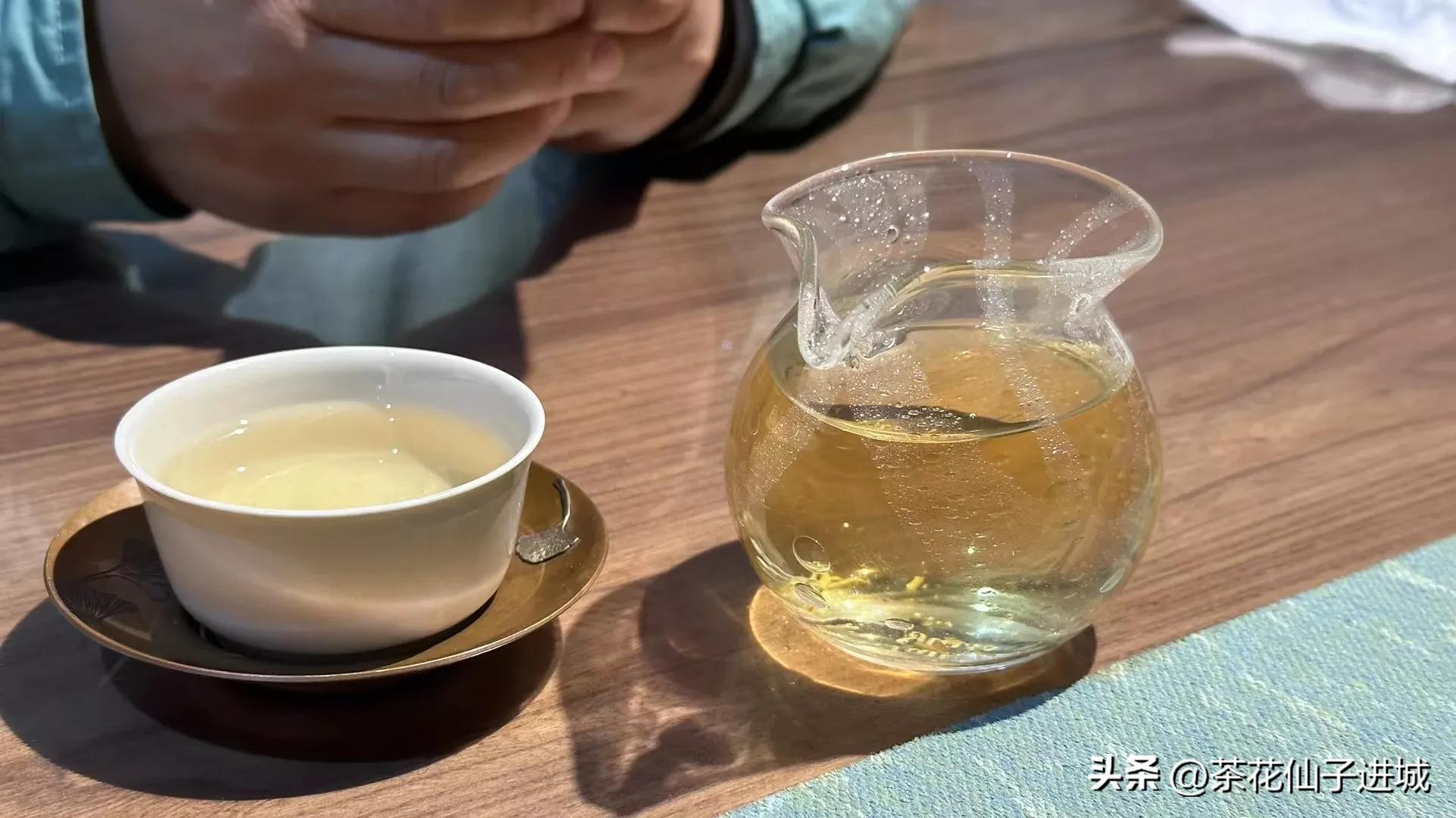 茶叶五大香型是什么茶种,白茶九大香型介绍