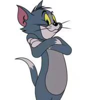 蓝猫会生出白灰色的猫吗,蓝猫和灰色的猫有什么区别