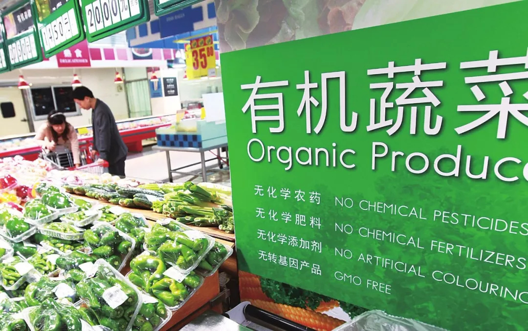 农村创业做什么最适合,乡镇小型创业项目