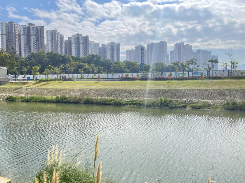 深圳河湖水环境治理,深圳河湖生态环境管理