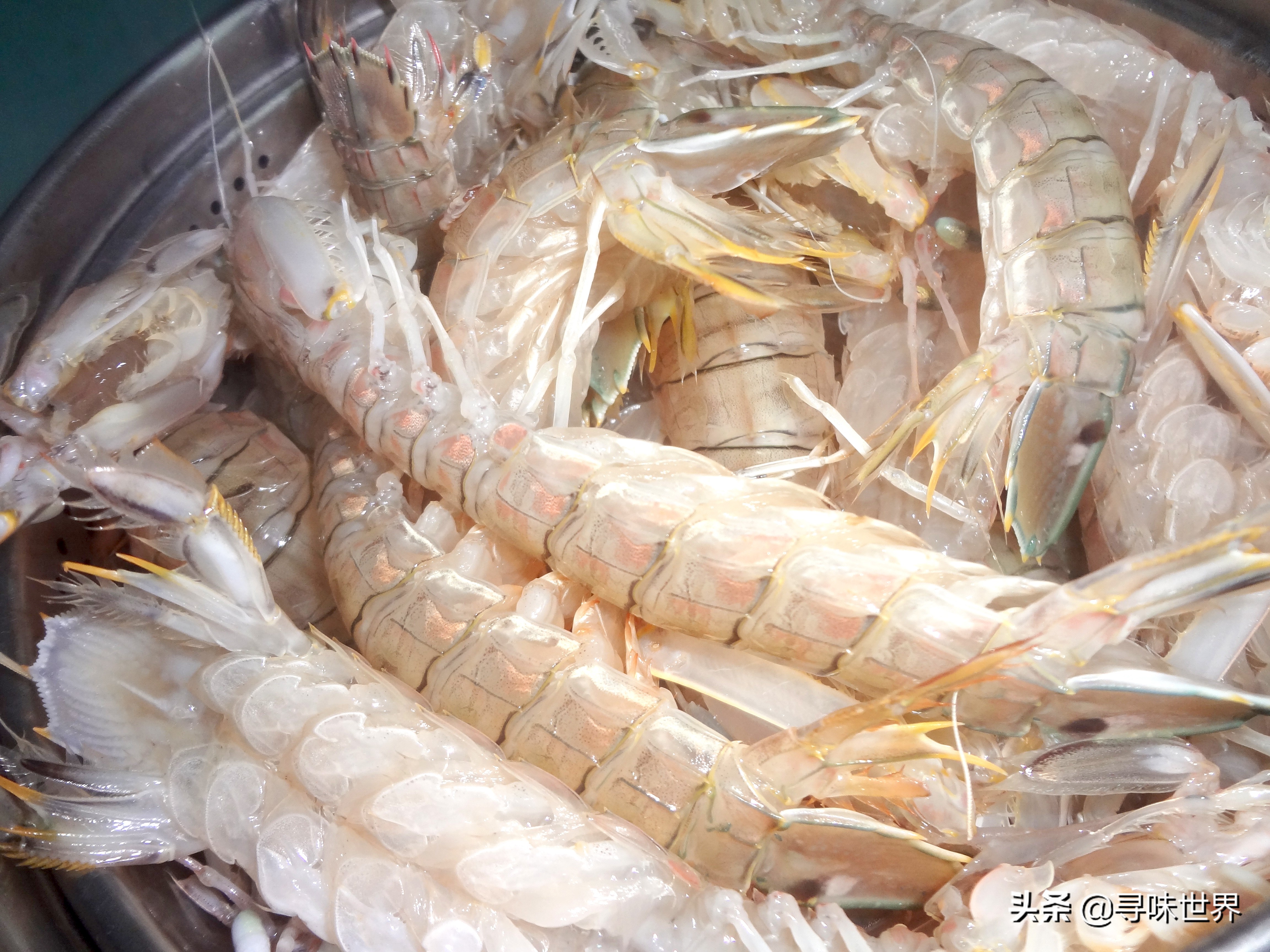 常见海鱼的品种大全及名字,海鱼的品种大全介绍