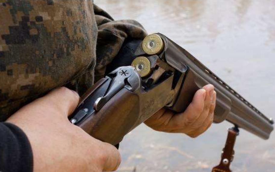 自家羊被咬死怒杀大熊猫,自家羊被大熊猫咬死判了多少年