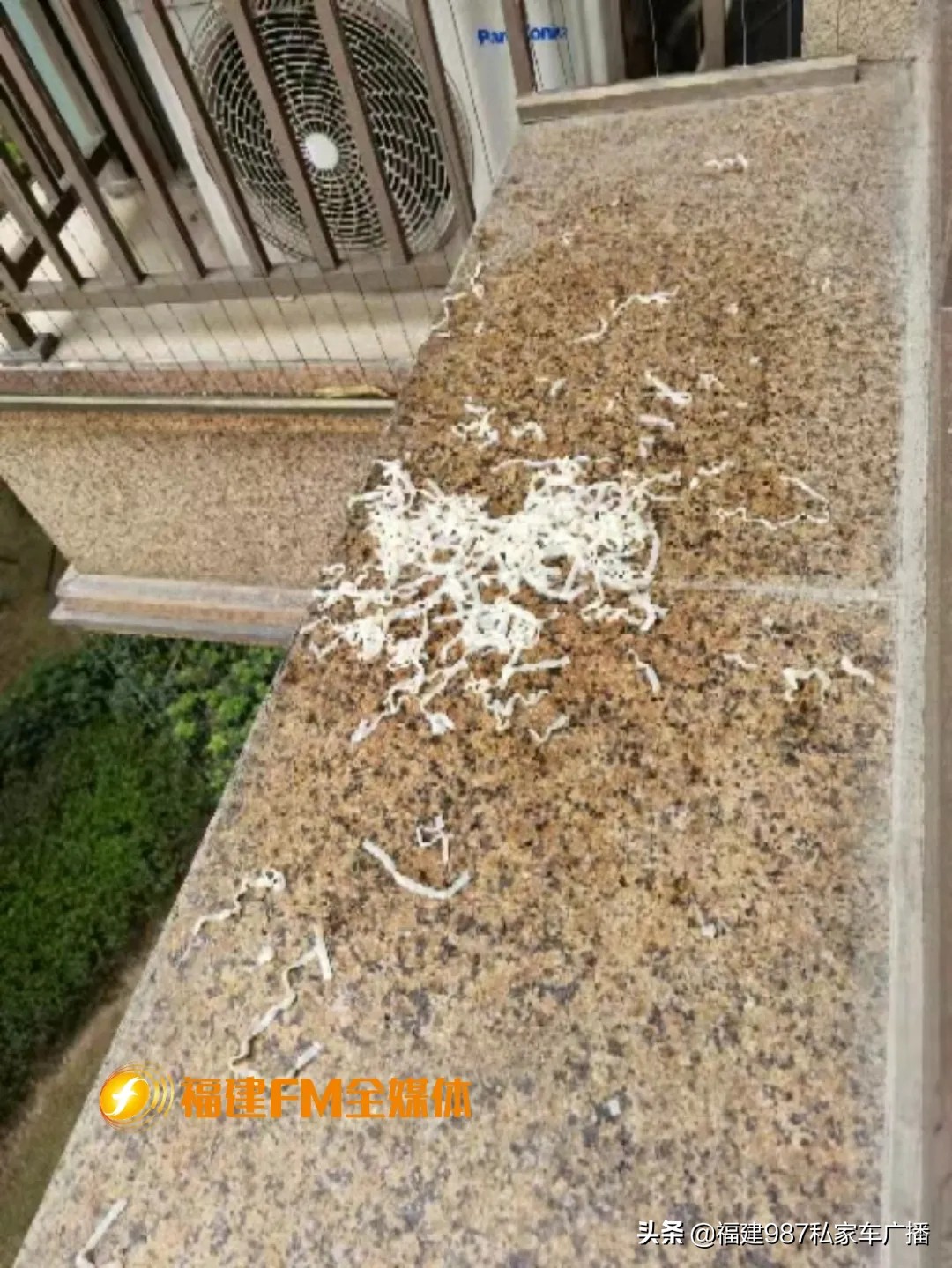 福州市高空抛物事件,福州高空抛物者