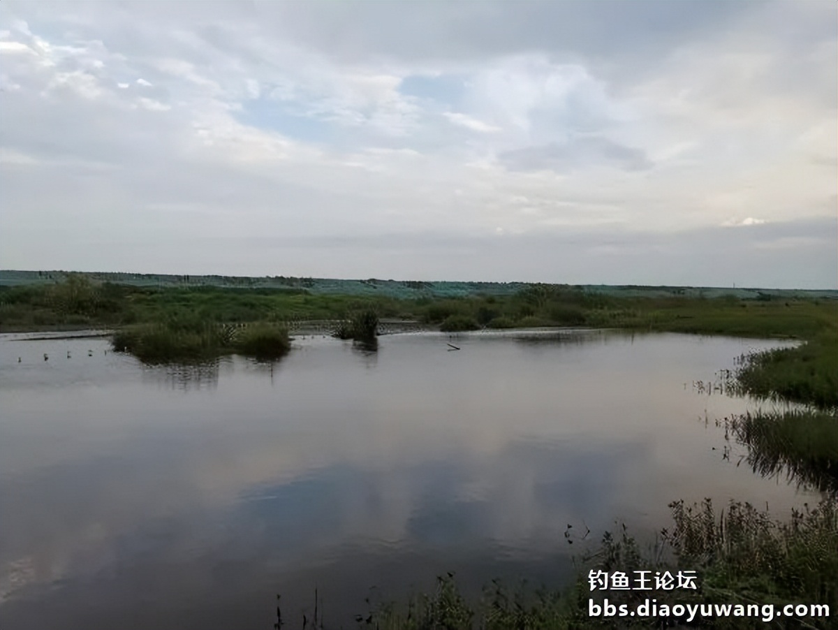 情理之中的上一句,情理之中的意料之外