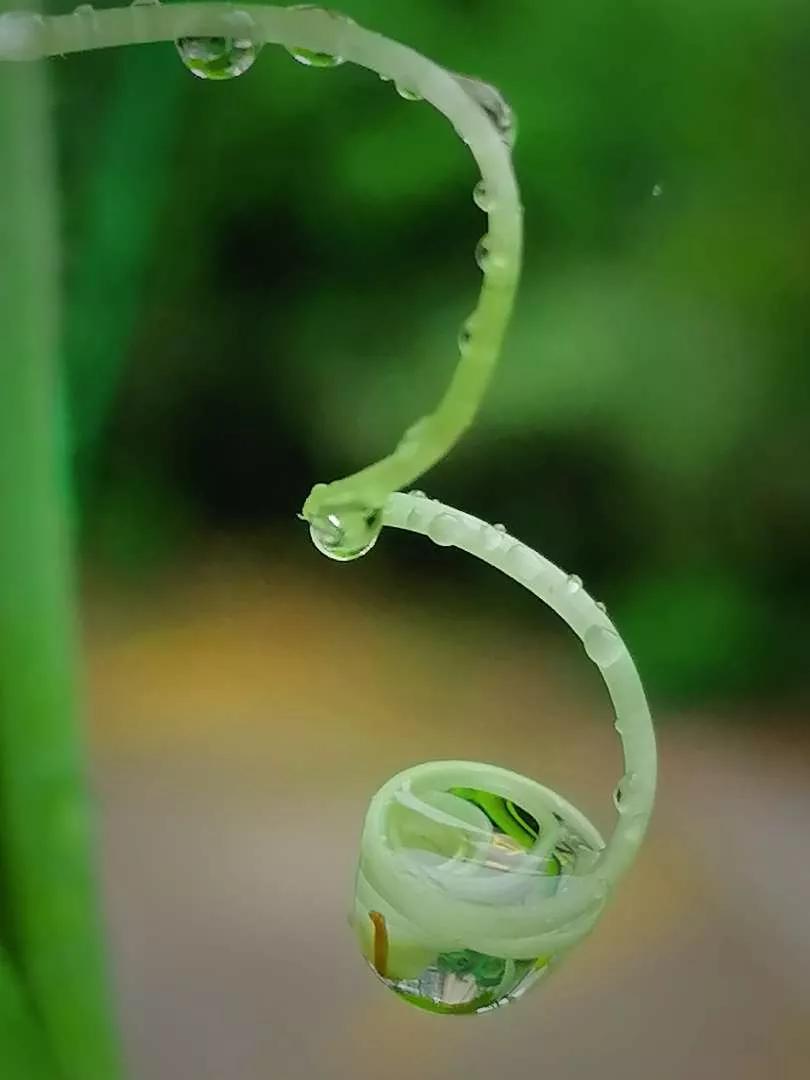 岁月斑驳留下来的都是静好时光,岁月斑驳愿时光静好