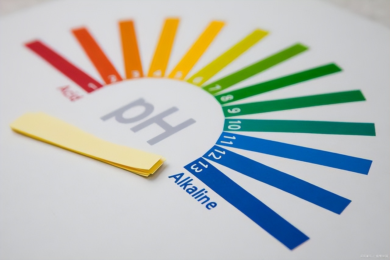 湿厕纸有必要买吗？它是不是智商税？