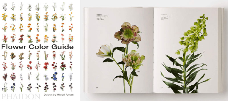 花艺基础知识大全书籍,花艺入门的书籍推荐
