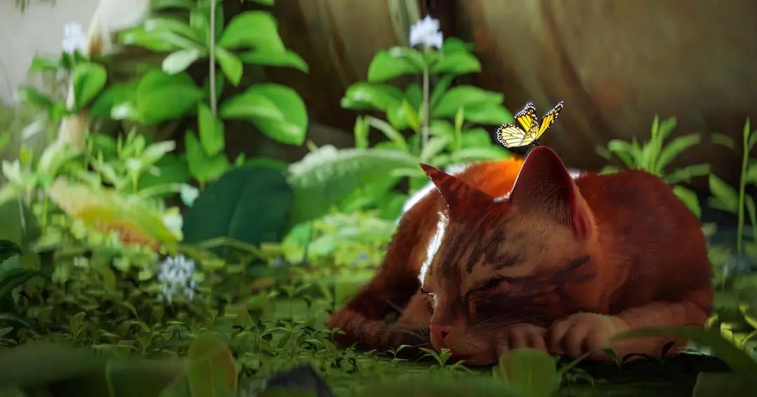 steam为什么要结束对win7的支持,steam将在什么时候停止对win7支持