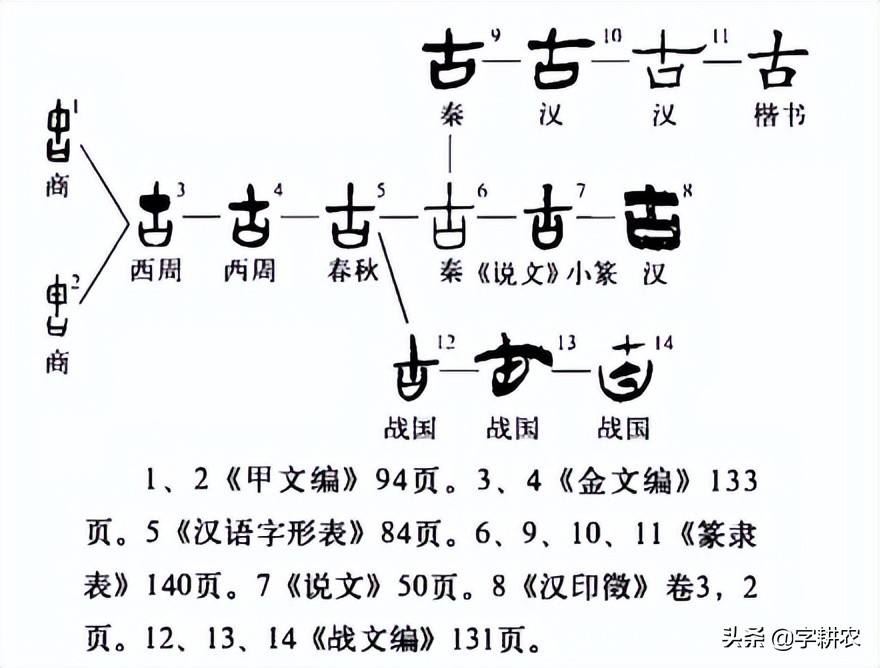 中国史前时期的发展,5000年前的中国进化史
