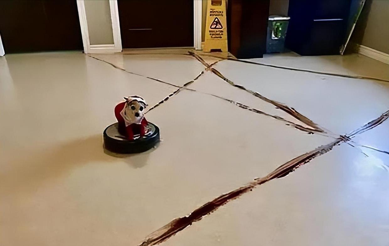 扫地机器人为什么会火,扫地机器人突然自毁了