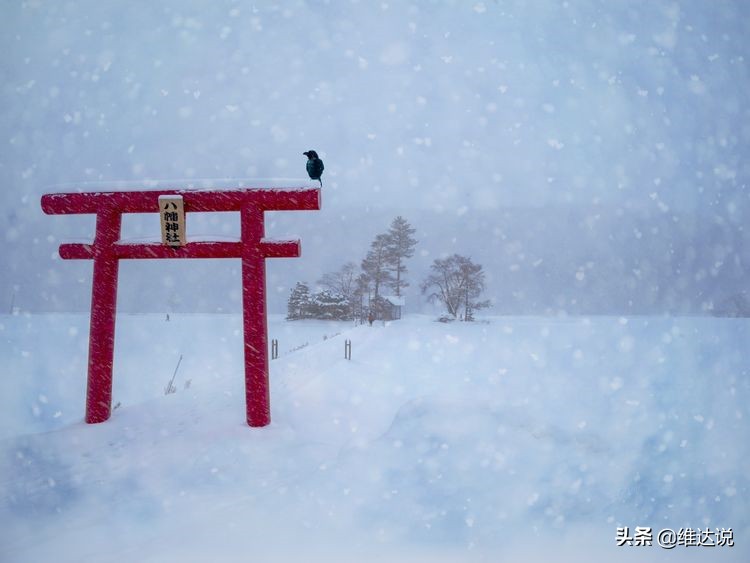 真正的日本北海道,北海道最近是空城吗