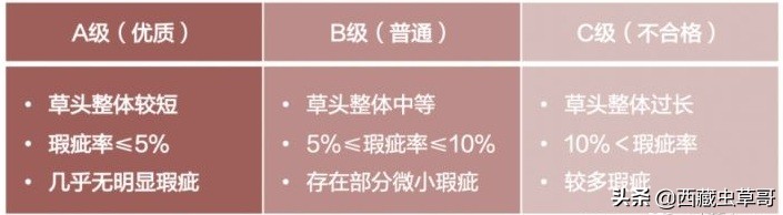 御草集虫草是真的假的,御草集冬虫夏草种植