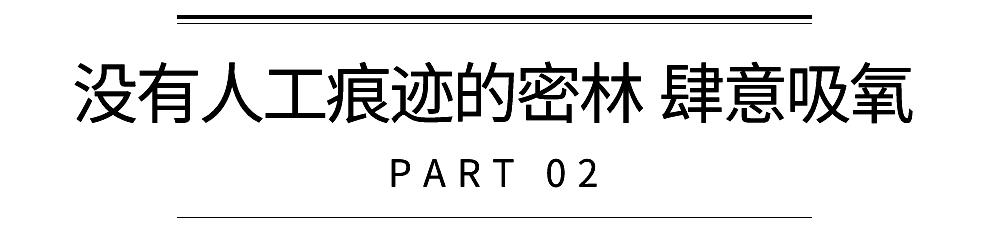 魔都，隐蔽60年的花园酒店，一窗一檐都是故事