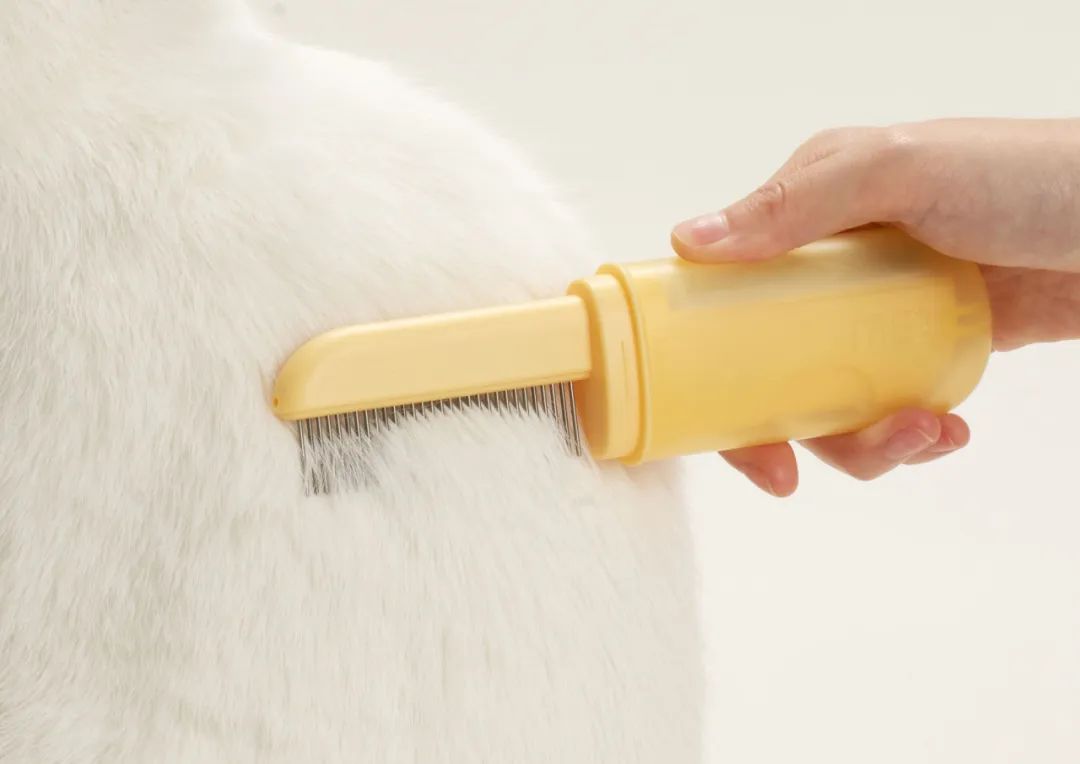 2022年iF设计奖：宠物用品类