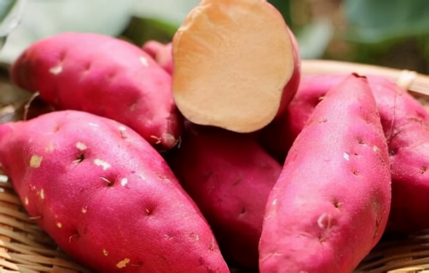 高中历史从食物采集到实物生产,高二历史第三课食物生产