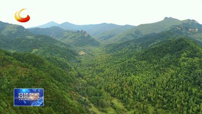 稳经济促发展强信心权威访谈福建,稳经济促消费访谈