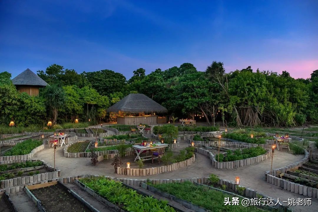 国内有直飞马尔代夫的航班吗 (北京上海直飞马尔代夫复航)