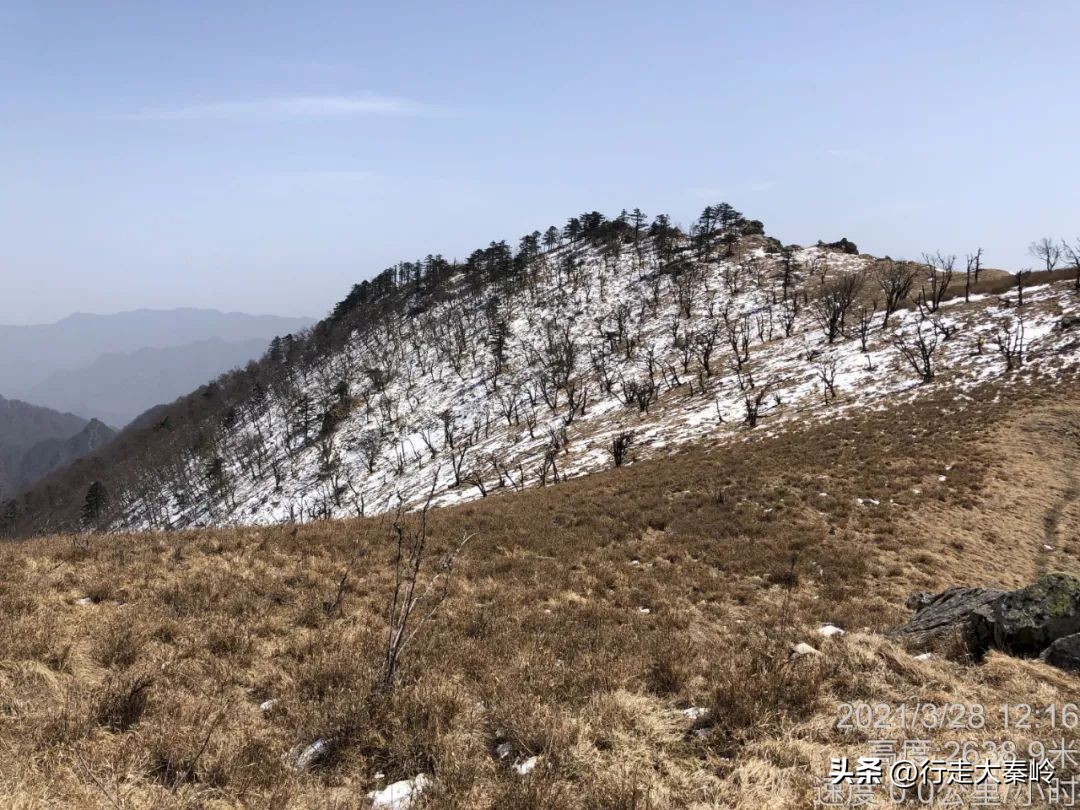 首阳山穿越大坪梁景色怎么样,大坪梁穿越到首阳山攻略