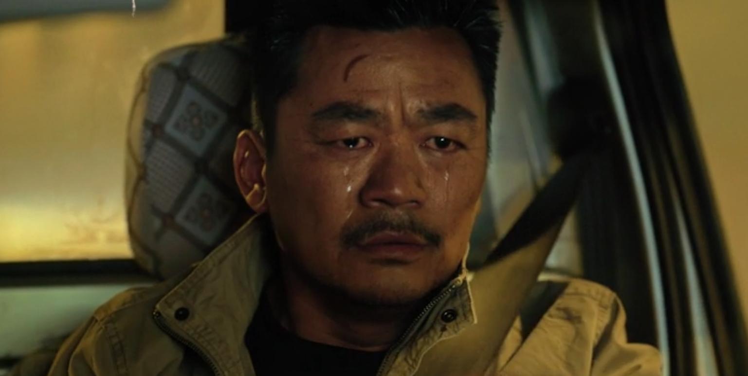 王宝强深度解析,王宝强成功的奥秘