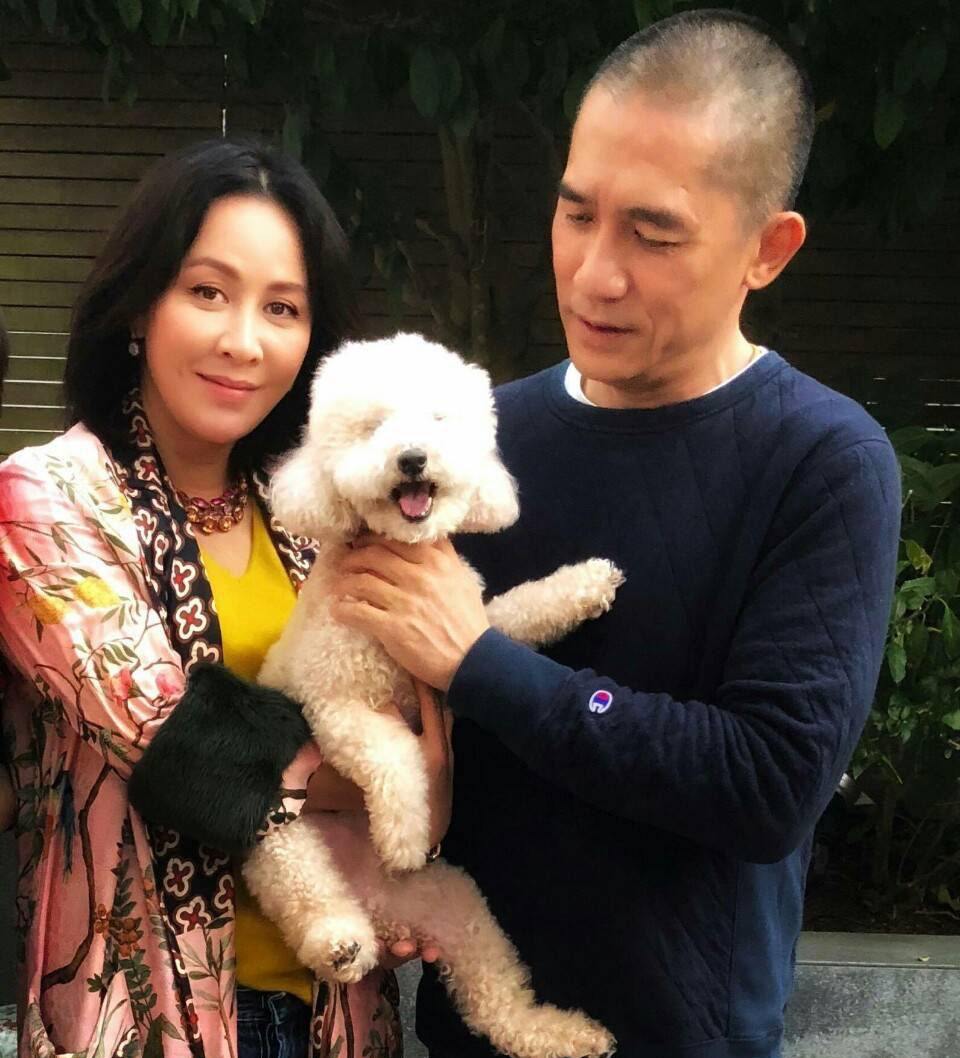 丁克六对明星夫妻,明星有哪几对丁克夫妻