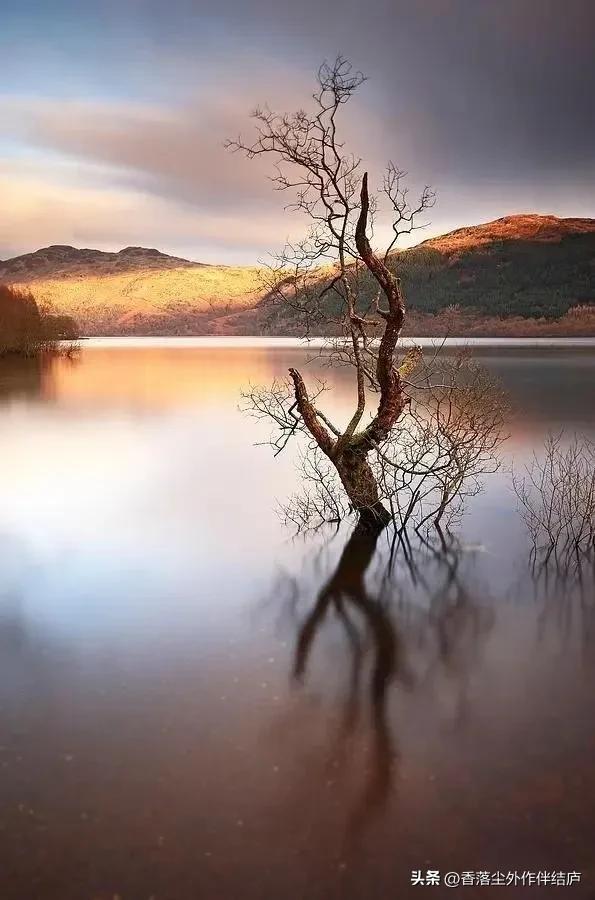 李红卡：我的名字