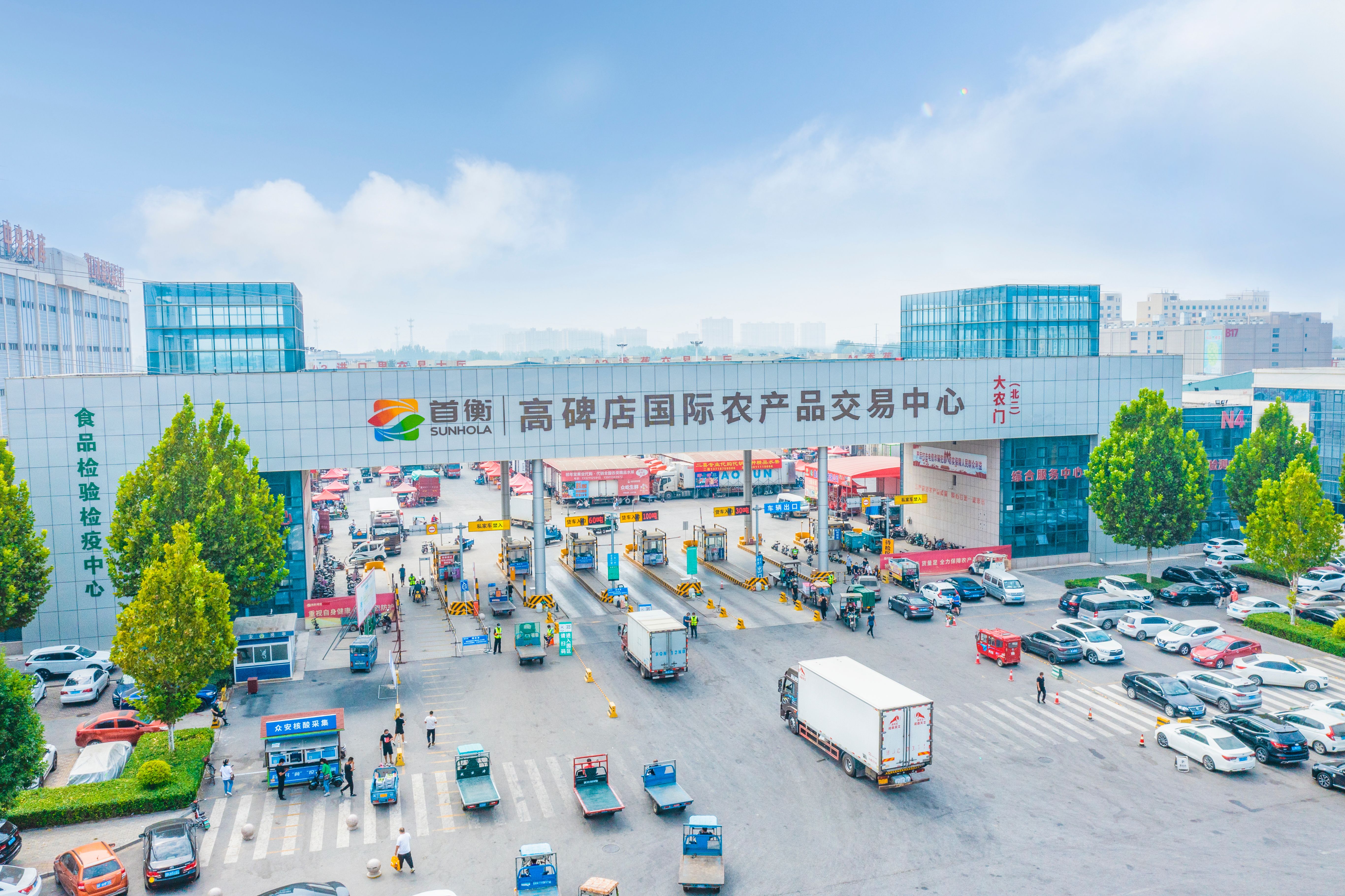 瀵垮厜钄彍鎵瑰彂甯傚満浠锋牸,鍏ㄥ浗鍗佸ぇ钄彍鎵瑰彂甯傚満鎺掑悕