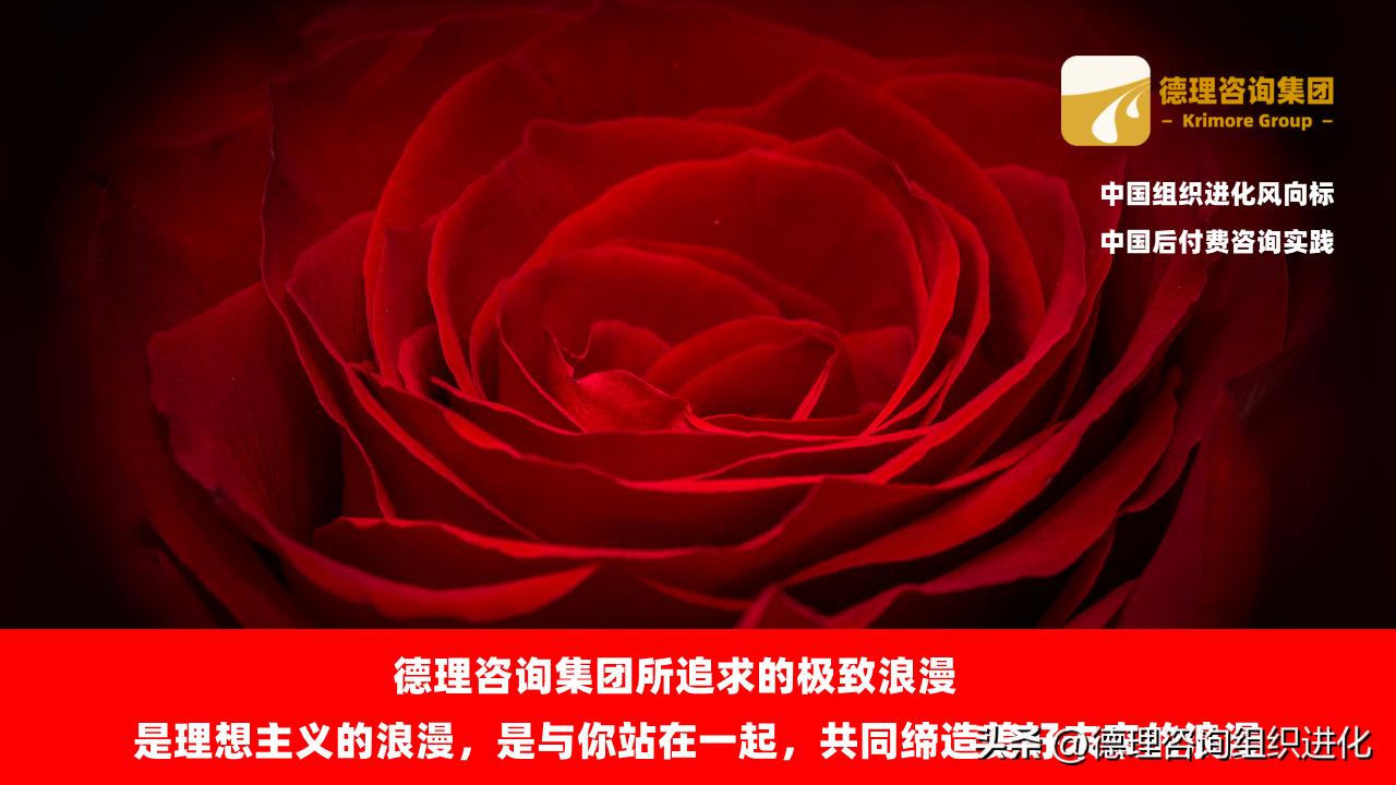 德理咨询集团：公司治理与集团财务管控-krimore