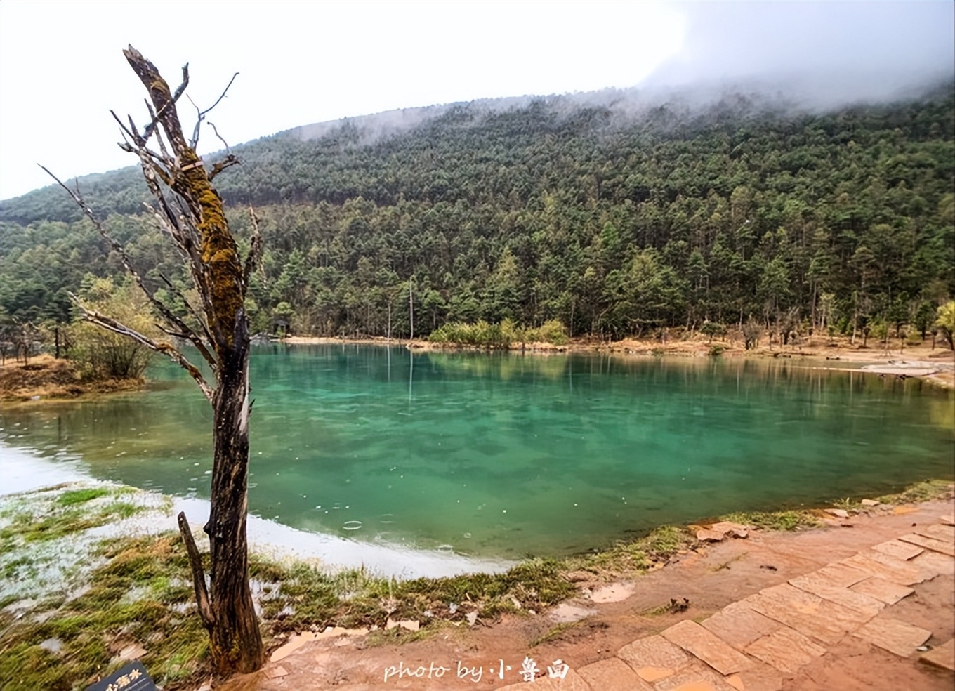 玩转云南自由行,昆明大理丽江6天5晚游多少钱