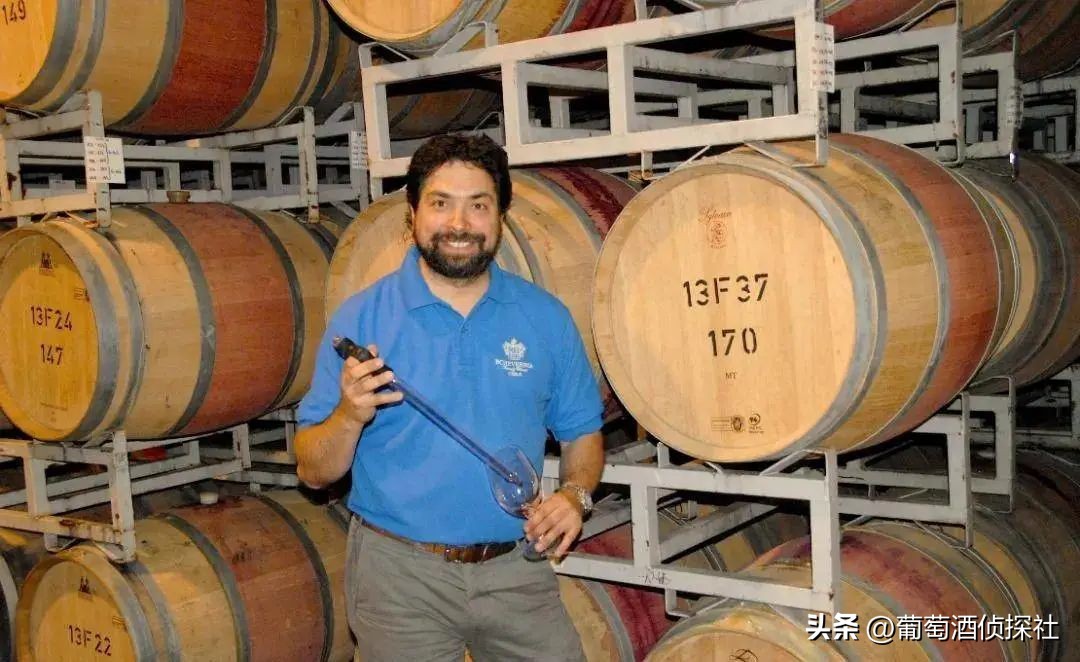 正宗葡萄酒酿造法,葡萄酒酿造步骤精简