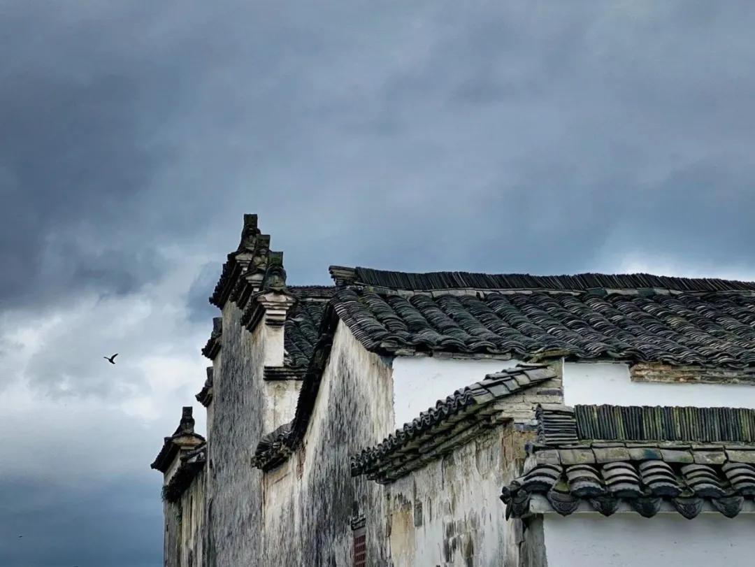 一个院子，一家民宿，闲度余生