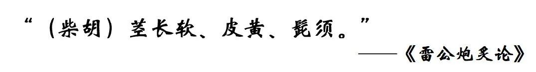 中药真伪鉴定案例,中药鉴定真假找谁
