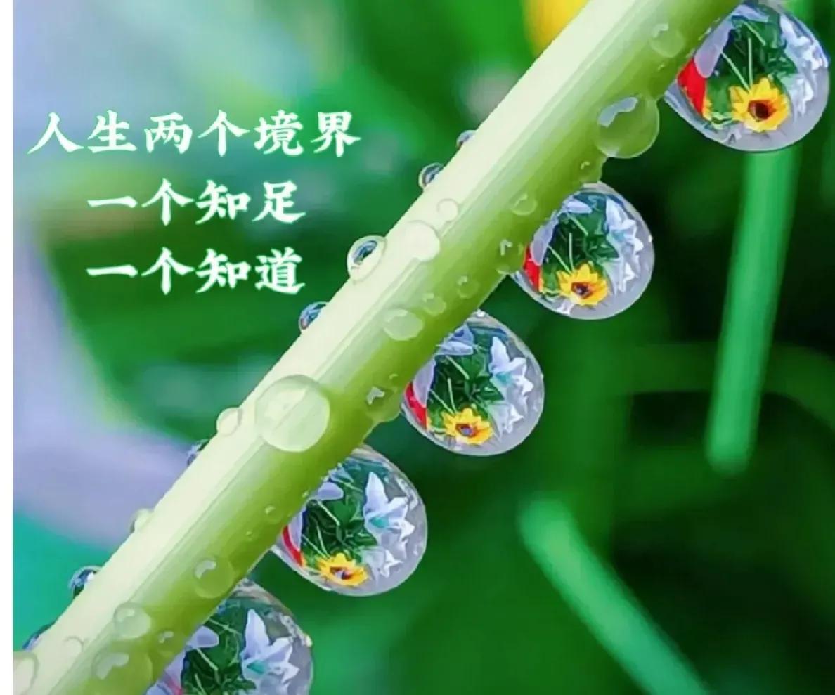 为什么买的不如卖的精——信息不对称