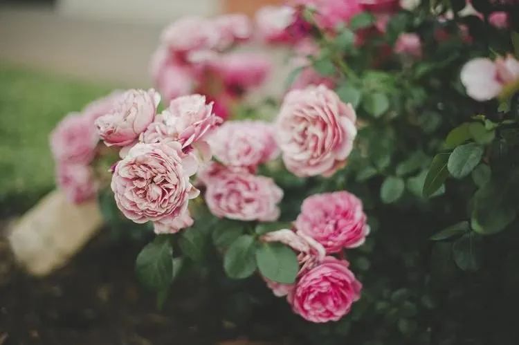 越忙越穷的真实原因,为什么越穷的人越快乐