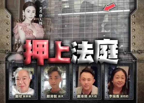 港媒称蔡天凤前夫已被捕,蔡天凤前夫儿女得知妈妈被害