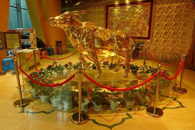 令人惊叹的农村发展,发展潜力最大的农村