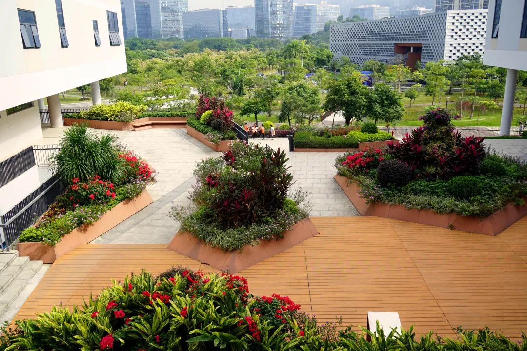 大学校园绿化设计,现代校园绿化规划设计